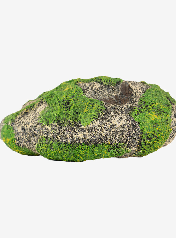 Algae Rock Formation