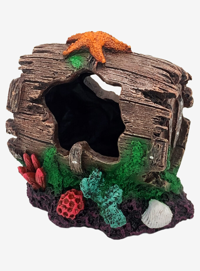 Barrel Oasis
