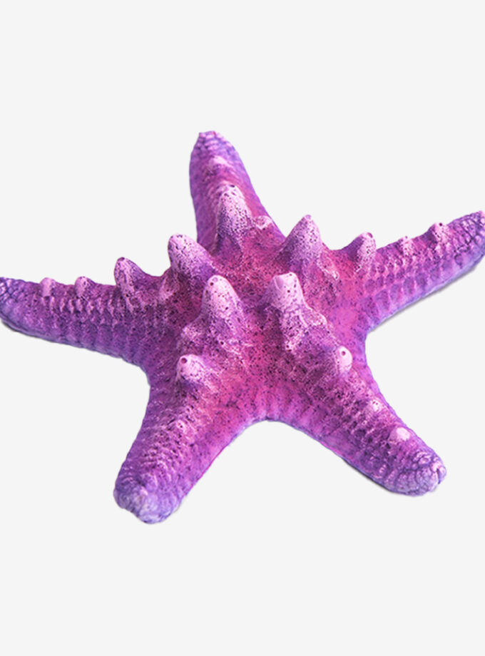 Pink Sea Star