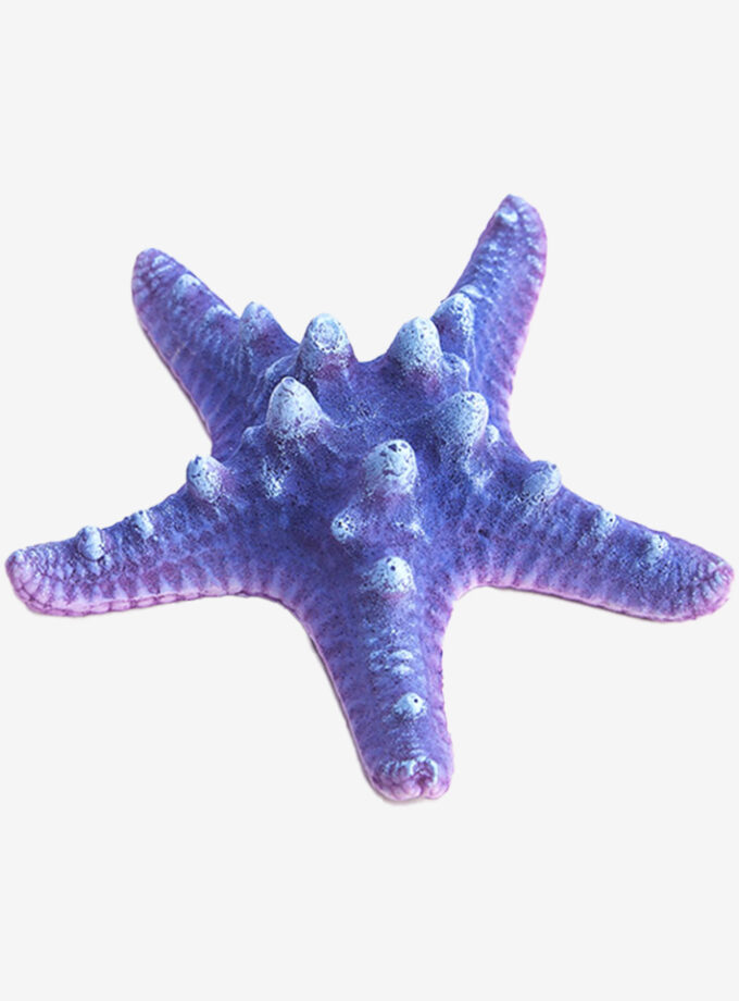 Bubblegum Sea Star