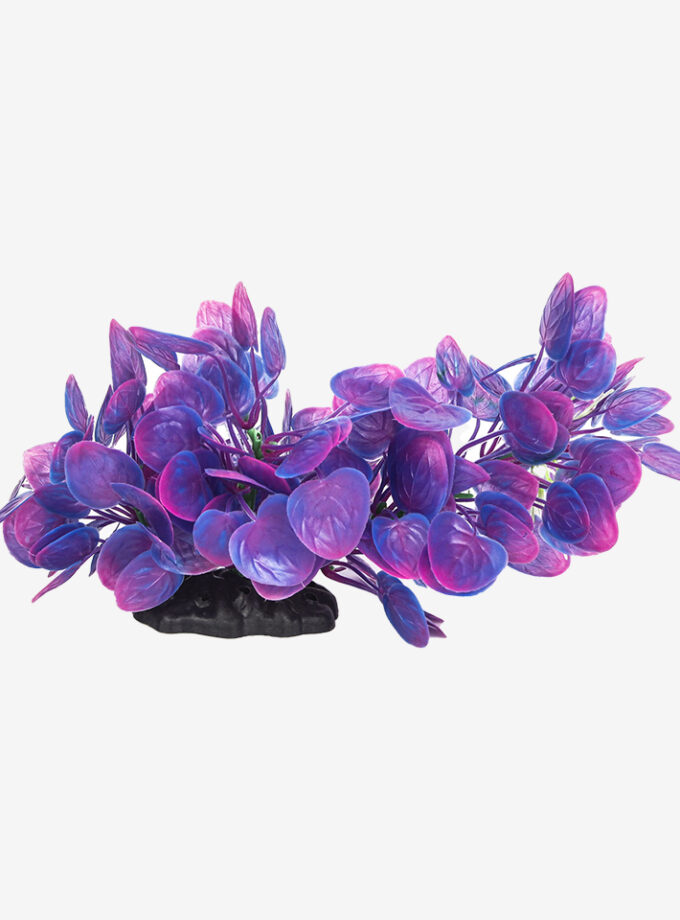 Purple Petals