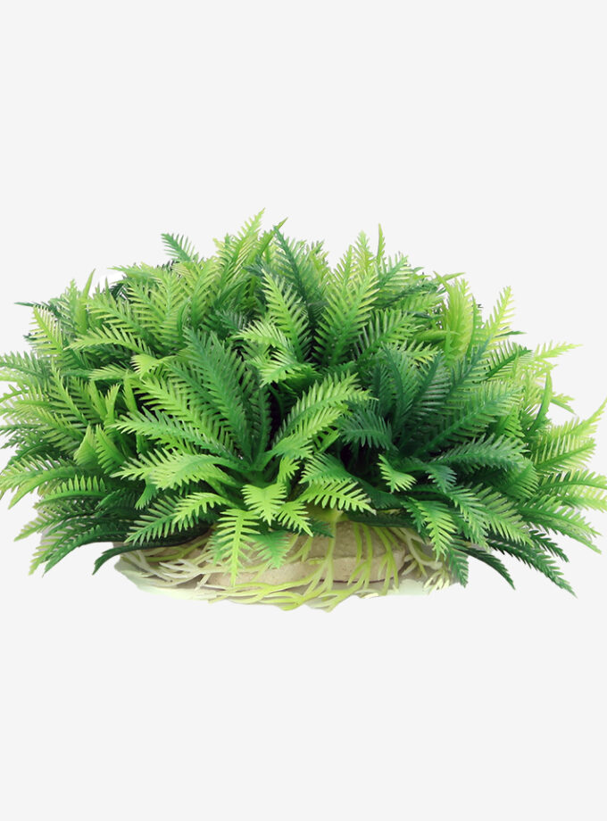 Green Bush