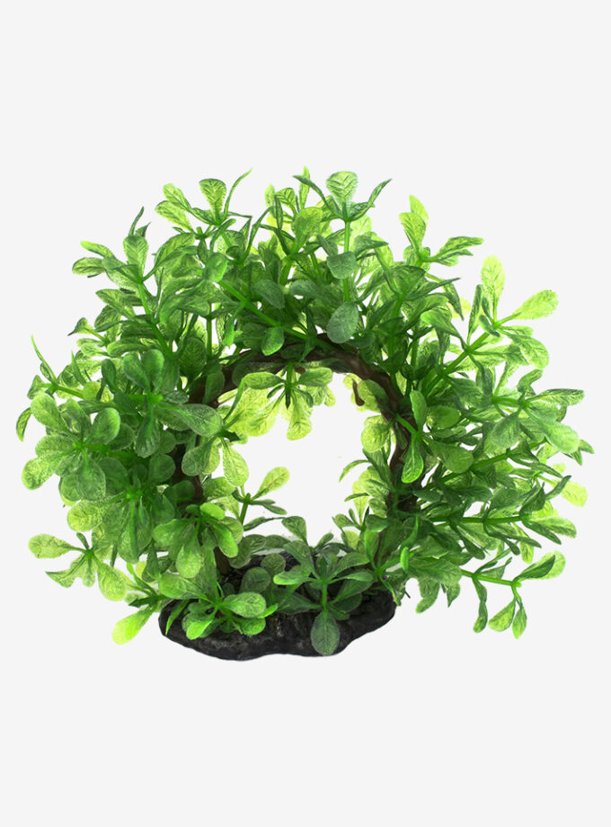 Ring Of Greenery