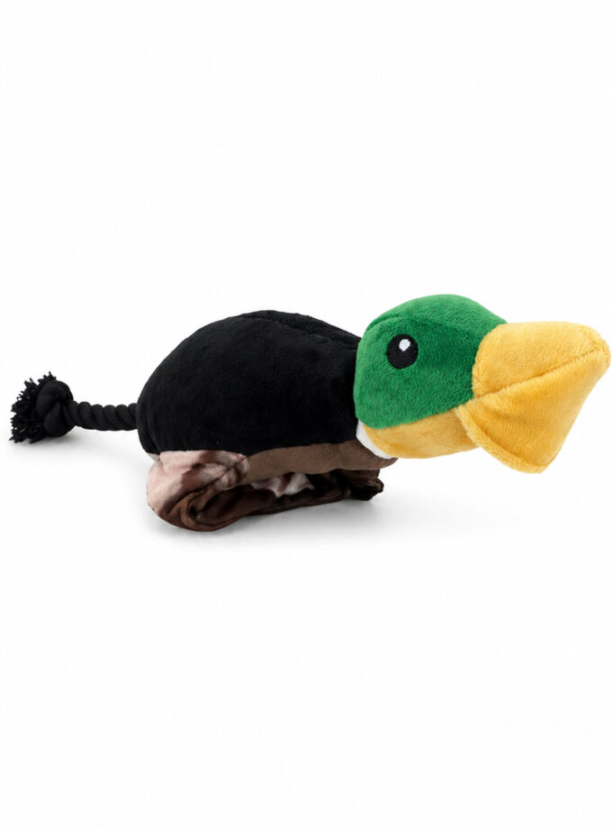 Quackshot